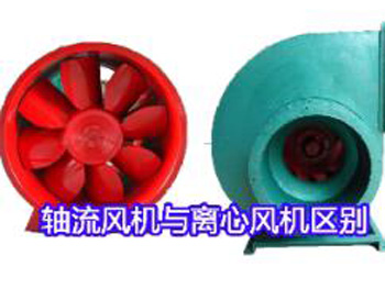 �S���L�C���x���L�C��ʲô�^�e